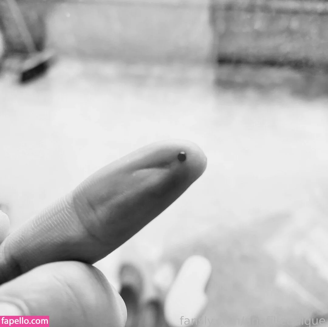 fille___de___06 / unefilleunique Onlyfans Photo Gallery 