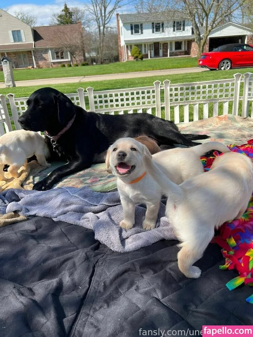 fille___de___06 / unefilleunique Onlyfans Photo Gallery 