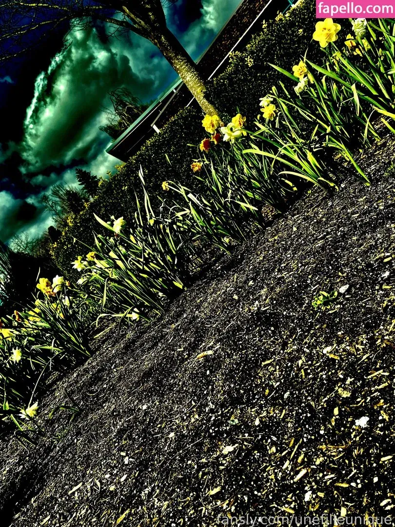 fille___de___06 / unefilleunique Onlyfans Photo Gallery 