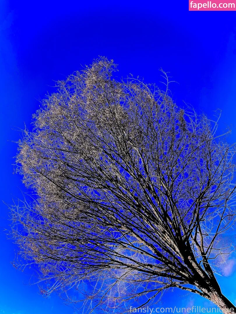 fille___de___06 / unefilleunique Onlyfans Photo Gallery 