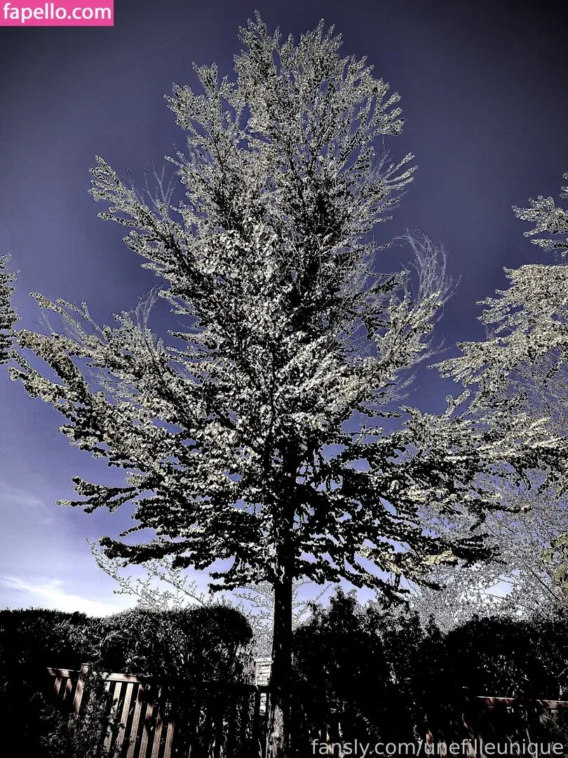 fille___de___06 / unefilleunique Onlyfans Photo Gallery 