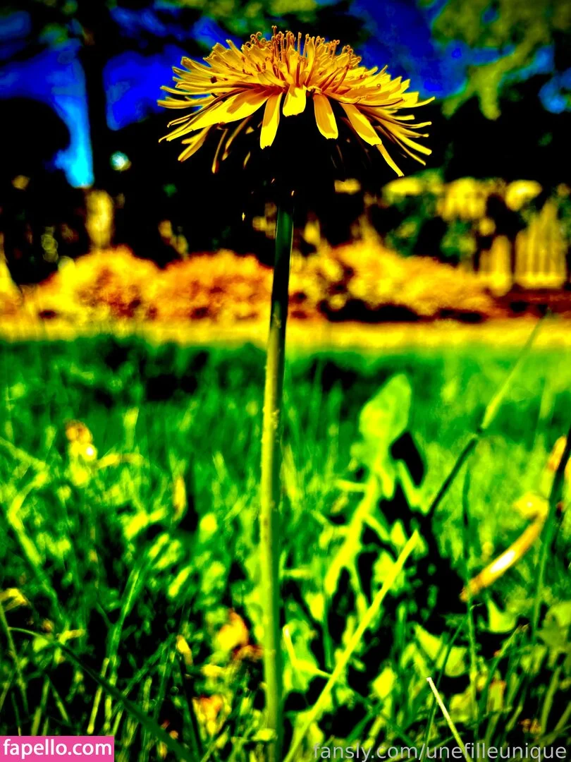 fille___de___06 / unefilleunique Onlyfans Photo Gallery 