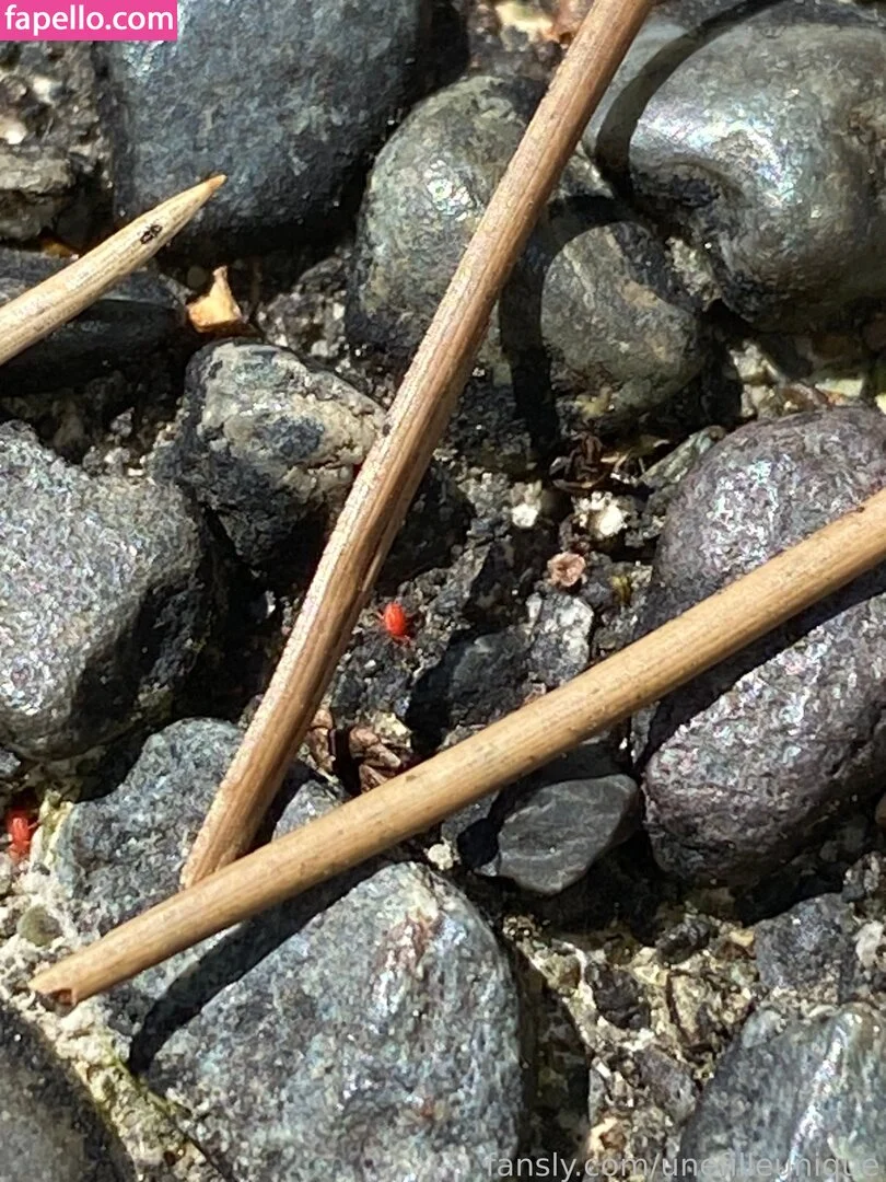 fille___de___06 / unefilleunique Onlyfans Photo Gallery 