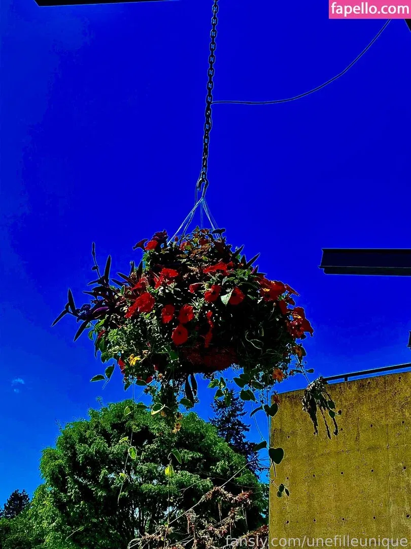 fille___de___06 / unefilleunique Onlyfans Photo Gallery 