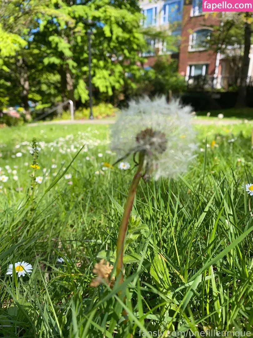 fille___de___06 / unefilleunique Onlyfans Photo Gallery 