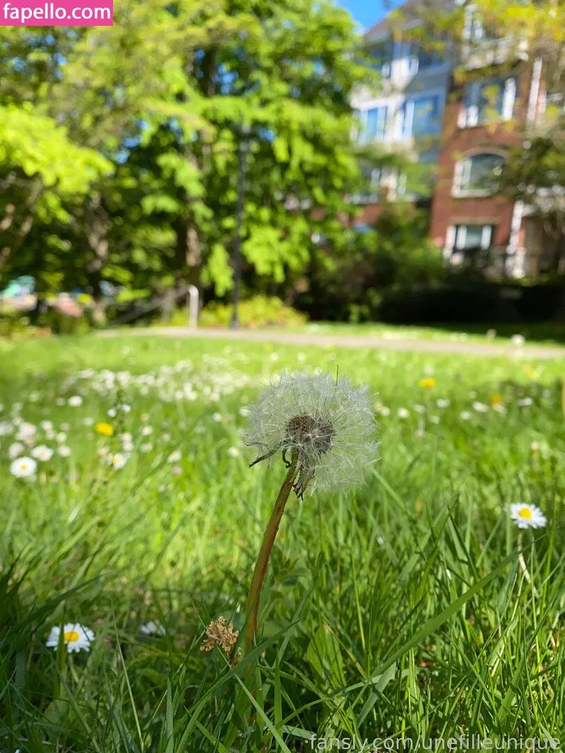 fille___de___06 / unefilleunique Onlyfans Photo Gallery 