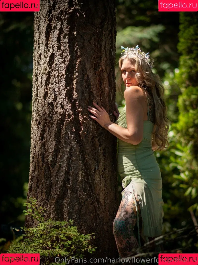 harlowflowerfootgoddess / hippyharlow Onlyfans Photo Gallery 