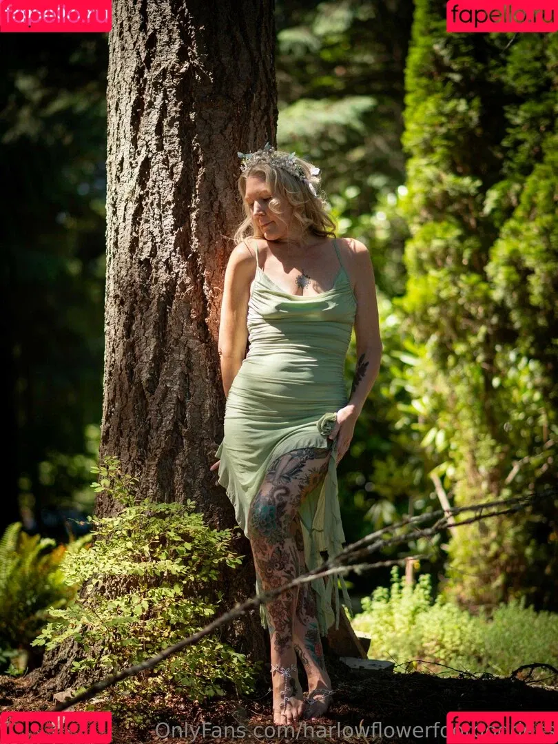 harlowflowerfootgoddess / hippyharlow Onlyfans Photo Gallery 