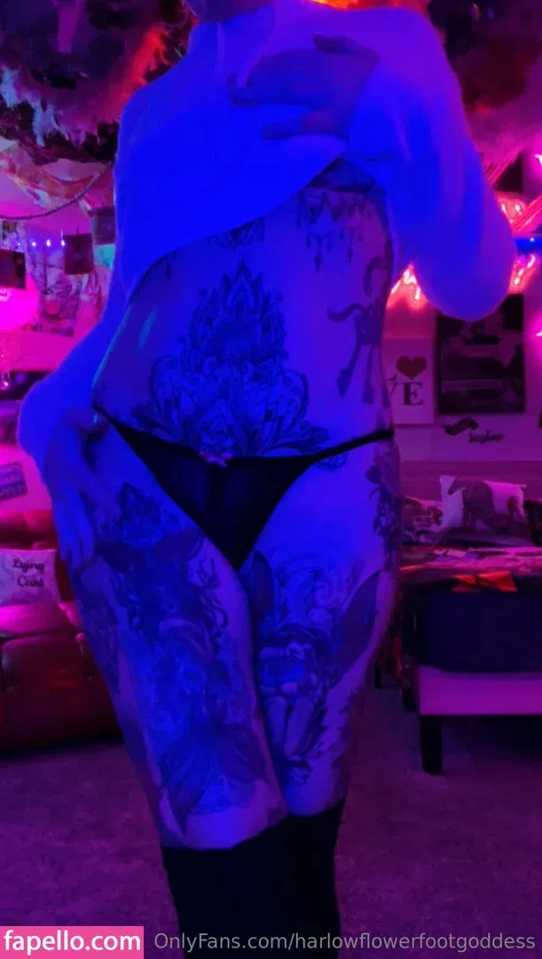 harlowflowerfootgoddess / hippyharlow Onlyfans Photo Gallery 