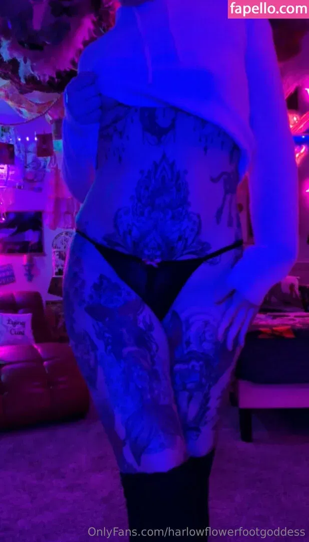 harlowflowerfootgoddess / hippyharlow Onlyfans Photo Gallery 