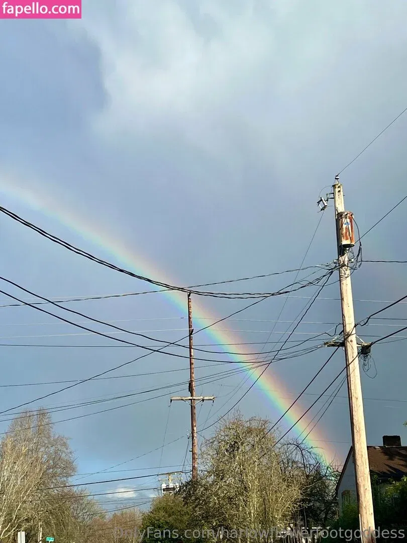 harlowflowerfootgoddess / hippyharlow Onlyfans Photo Gallery 