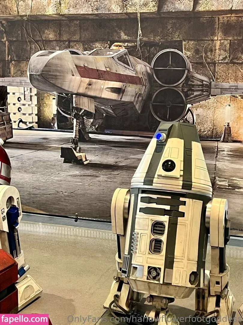 harlowflowerfootgoddess / hippyharlow Onlyfans Photo Gallery 