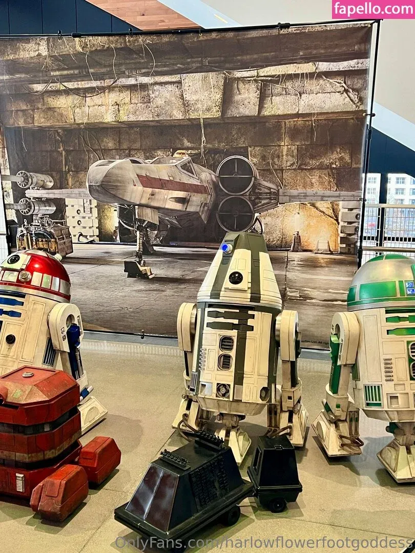 harlowflowerfootgoddess / hippyharlow Onlyfans Photo Gallery 