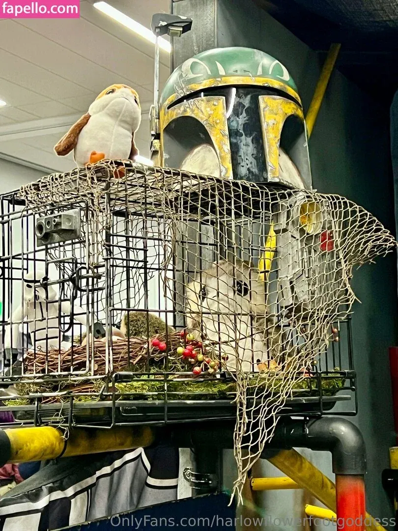 harlowflowerfootgoddess / hippyharlow Onlyfans Photo Gallery 