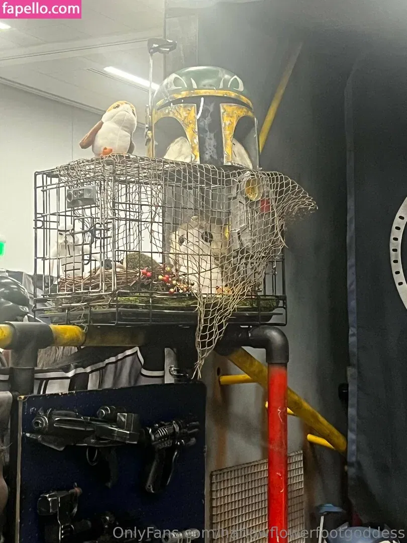 harlowflowerfootgoddess / hippyharlow Onlyfans Photo Gallery 