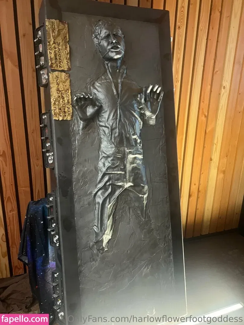 harlowflowerfootgoddess / hippyharlow Onlyfans Photo Gallery 