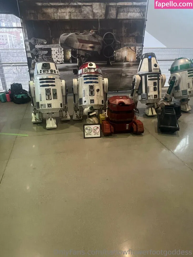 harlowflowerfootgoddess / hippyharlow Onlyfans Photo Gallery 