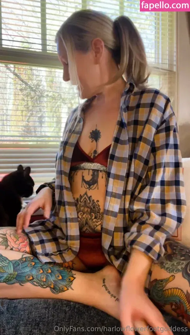 harlowflowerfootgoddess / hippyharlow Onlyfans Photo Gallery 
