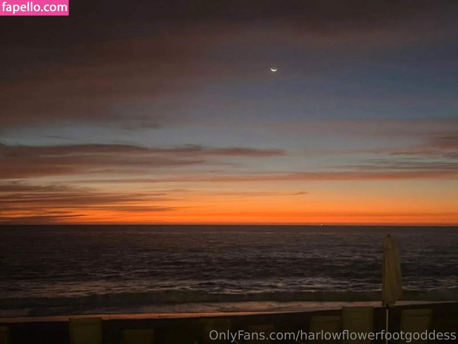 harlowflowerfootgoddess / hippyharlow Onlyfans Photo Gallery 