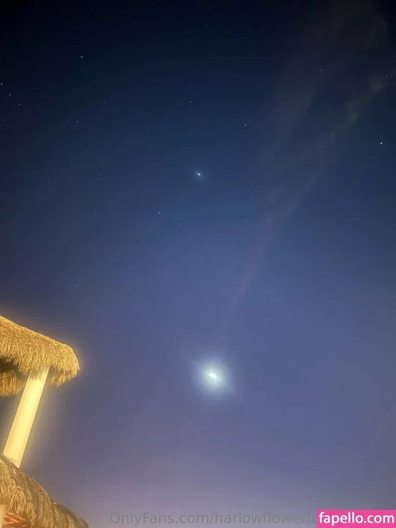 harlowflowerfootgoddess / hippyharlow Onlyfans Photo Gallery 