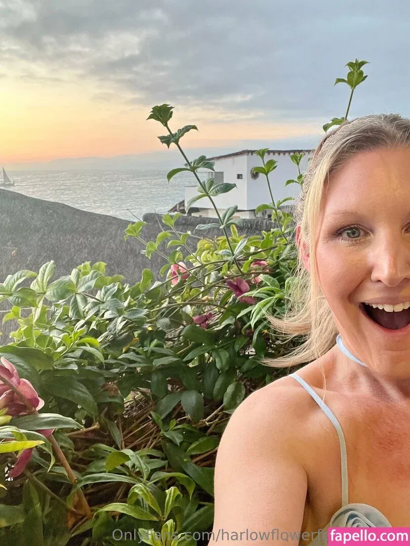 harlowflowerfootgoddess / hippyharlow Onlyfans Photo Gallery 