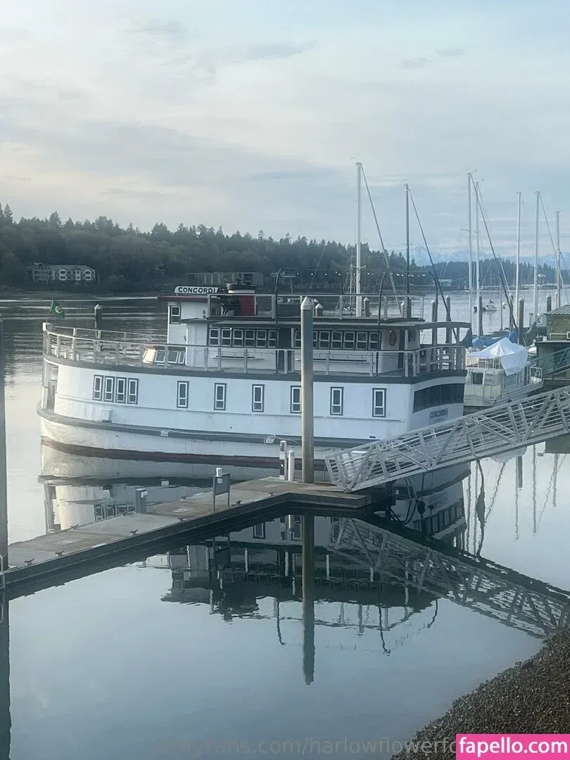 harlowflowerfootgoddess / hippyharlow Onlyfans Photo Gallery 