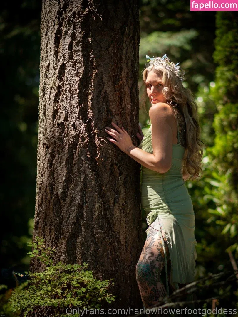 harlowflowerfootgoddess / hippyharlow Onlyfans Photo Gallery 