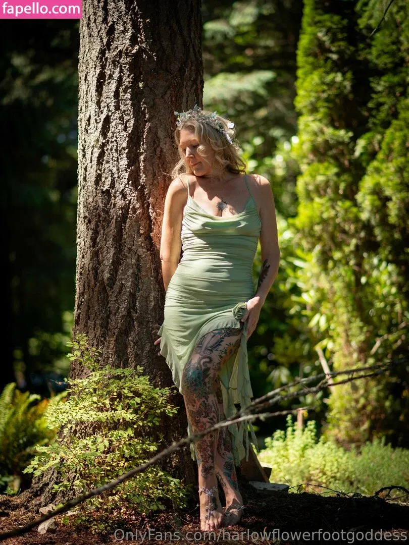 harlowflowerfootgoddess / hippyharlow Onlyfans Photo Gallery 