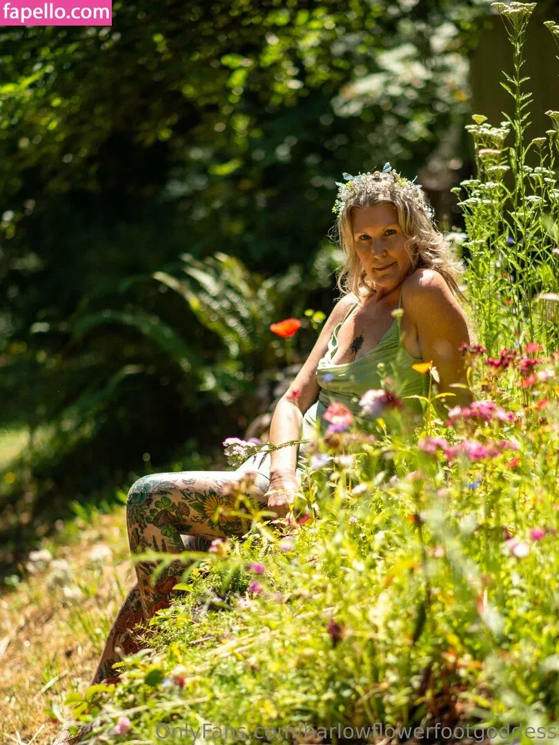 harlowflowerfootgoddess / hippyharlow Onlyfans Photo Gallery 