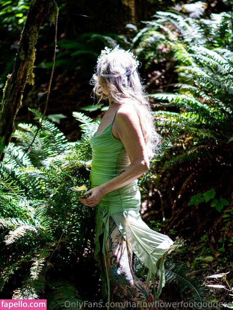 harlowflowerfootgoddess / hippyharlow Onlyfans Photo Gallery 