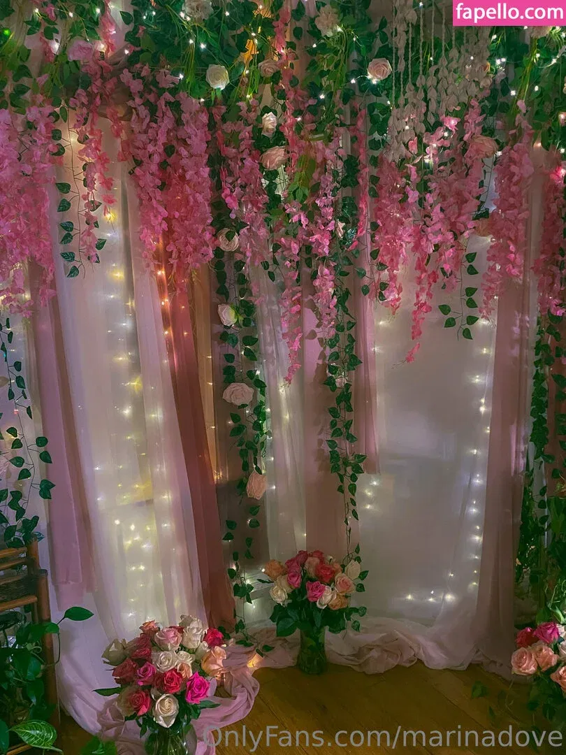 Marinadove Onlyfans Photo Gallery 