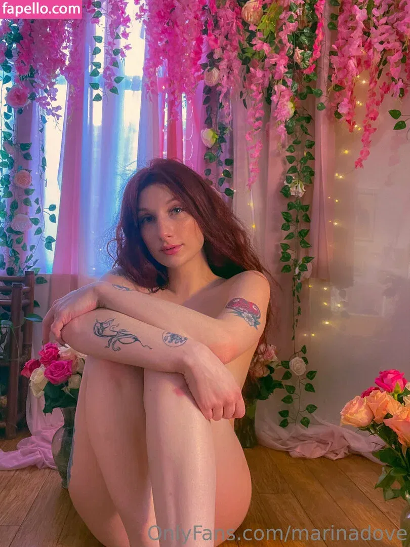 Marinadove Onlyfans Photo Gallery 
