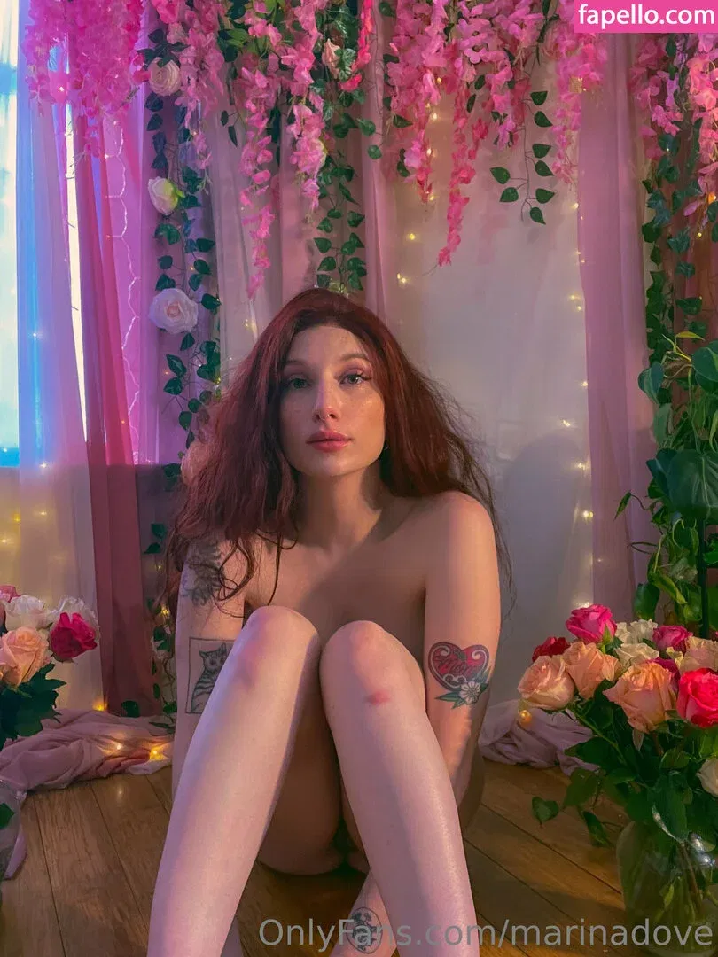 Marinadove Onlyfans Photo Gallery 