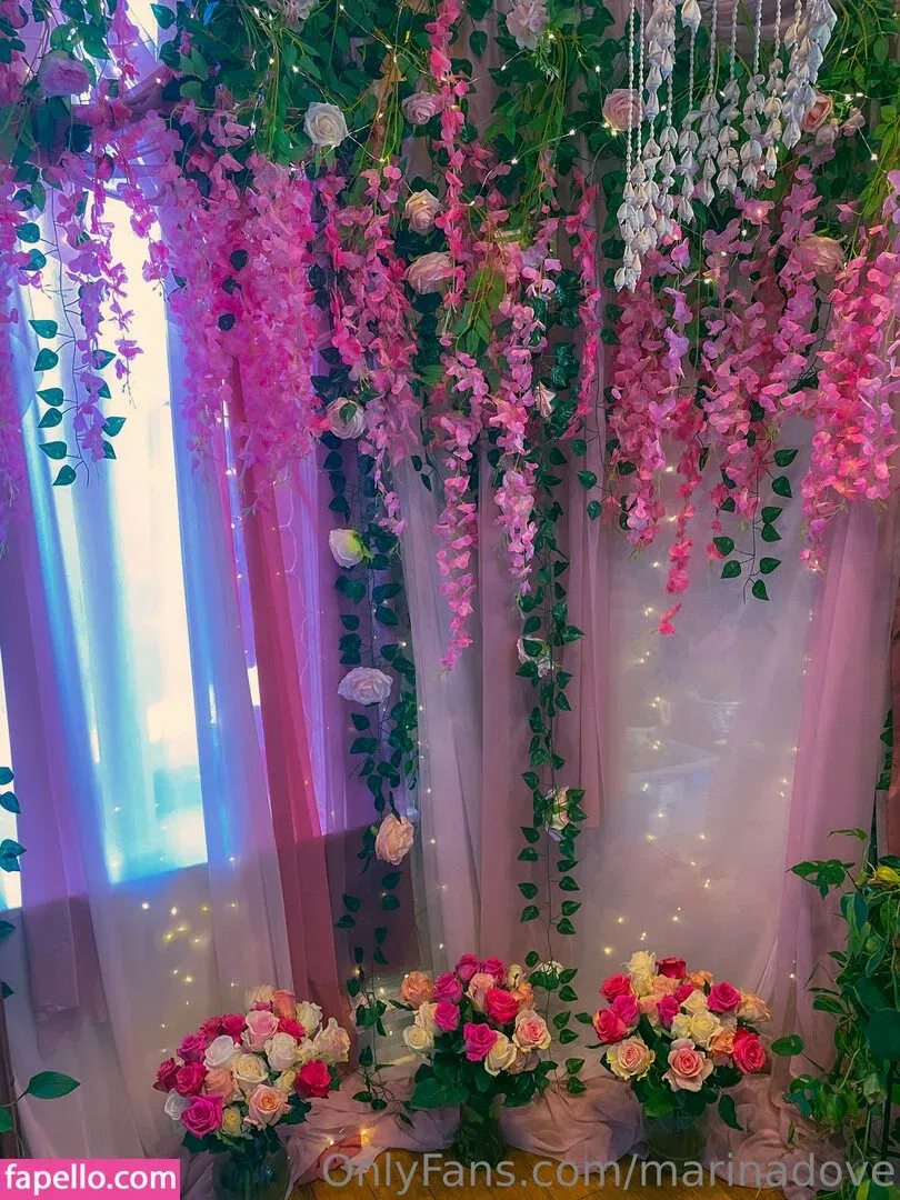Marinadove Onlyfans Photo Gallery 