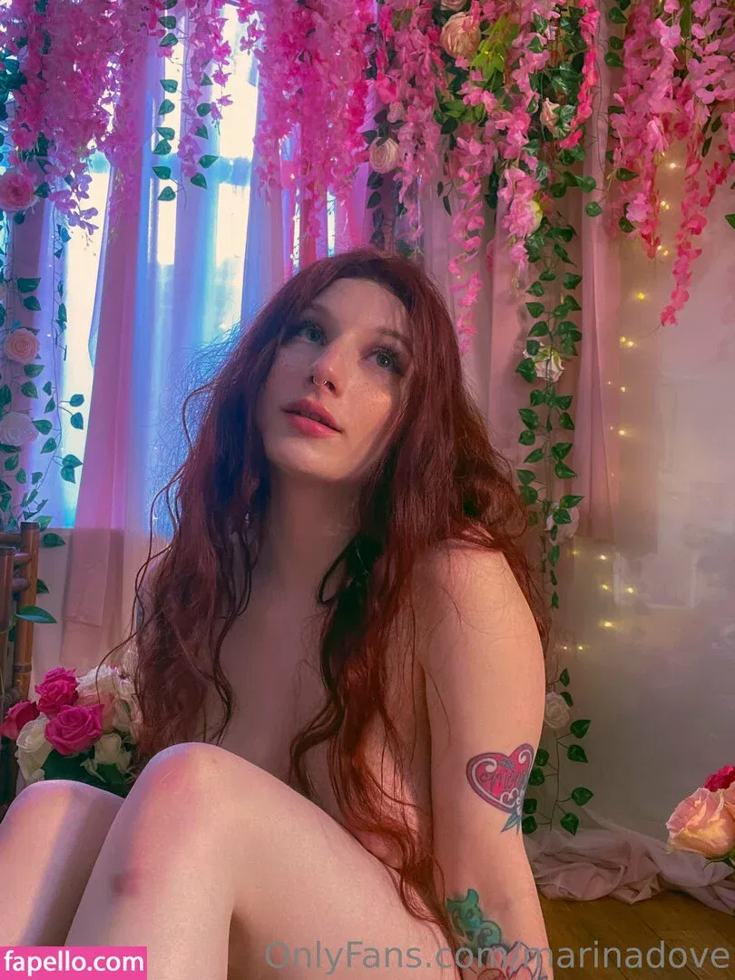 Marinadove Onlyfans Photo Gallery 