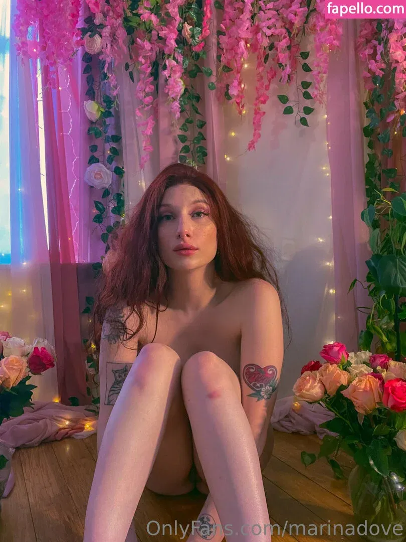 Marinadove Onlyfans Photo Gallery 