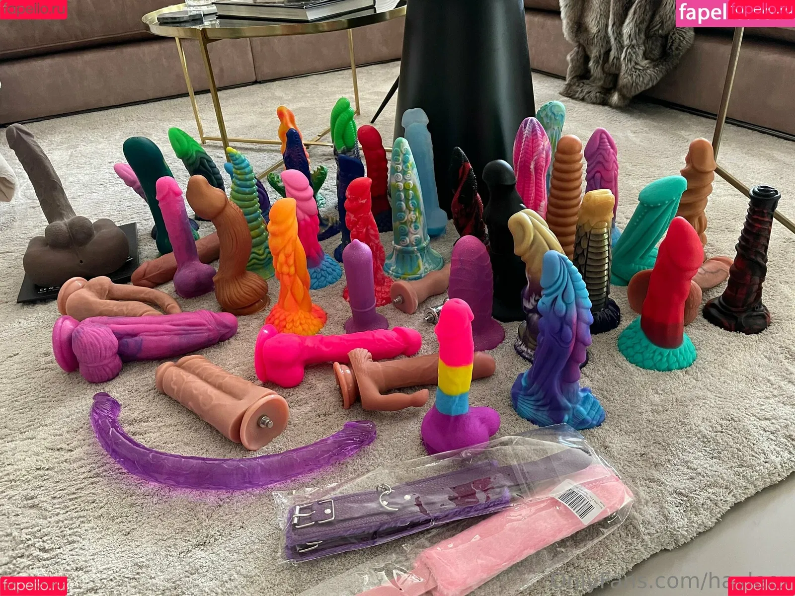Hayleex / haylee_cb Onlyfans Photo Gallery 