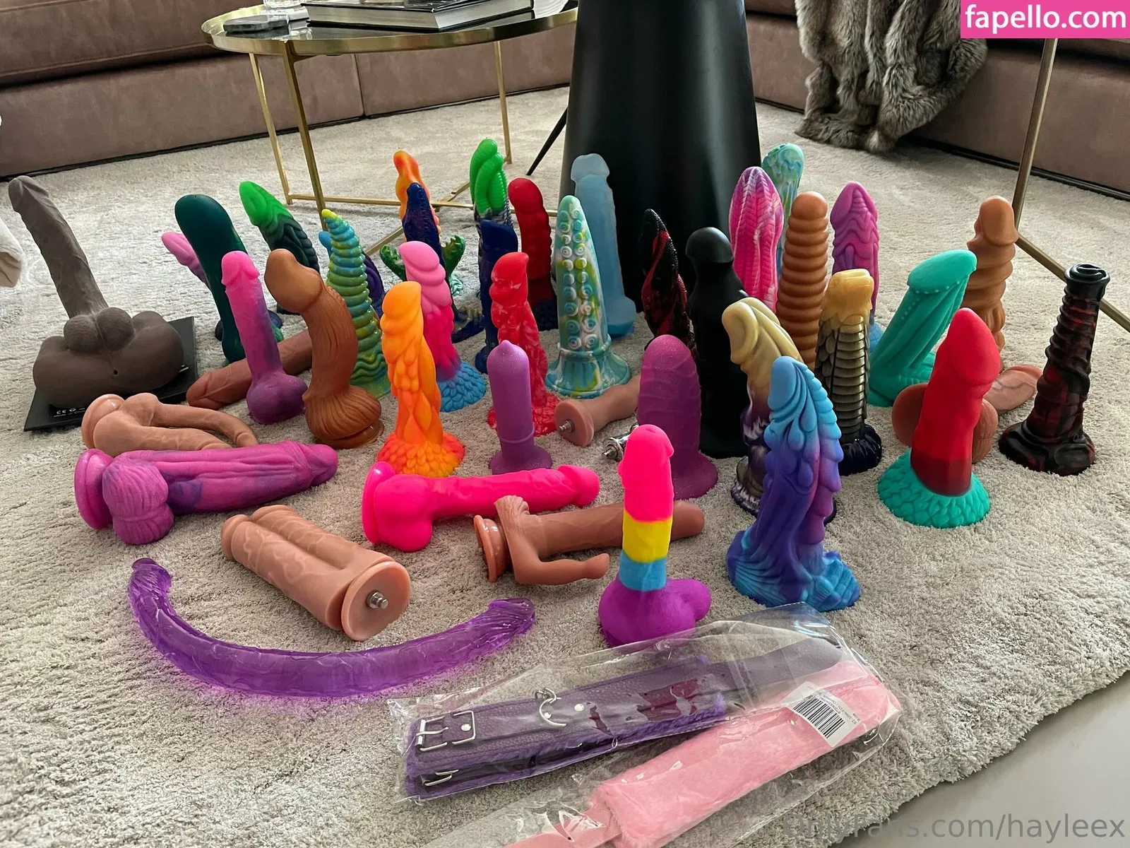 Hayleex / haylee_cb Onlyfans Photo Gallery 