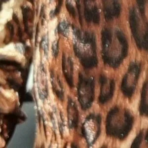 AtomicBrunette8 / Nina / atomicbrunette18 Onlyfans Photo Gallery 