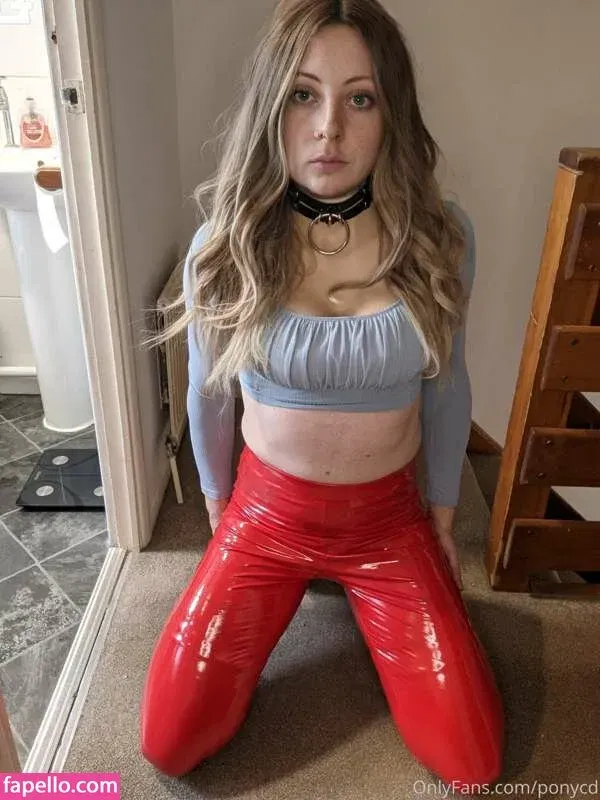 BDSMpony / cd_pony / ponycd Onlyfans Photo Gallery 