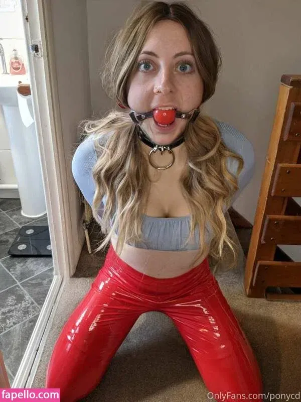 BDSMpony / cd_pony / ponycd Onlyfans Photo Gallery 