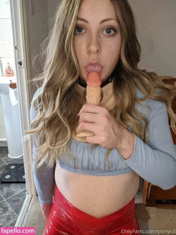 BDSMpony / cd_pony / ponycd Onlyfans Photo Gallery 
