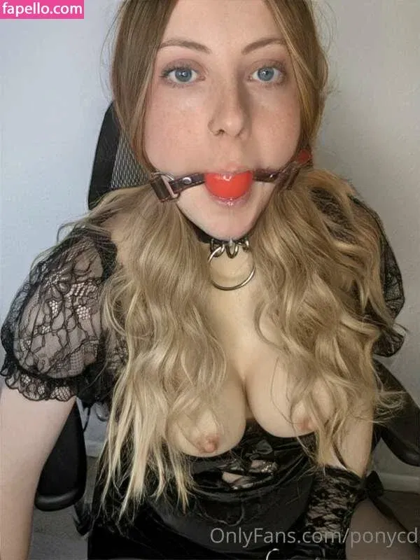 BDSMpony / cd_pony / ponycd Onlyfans Photo Gallery 