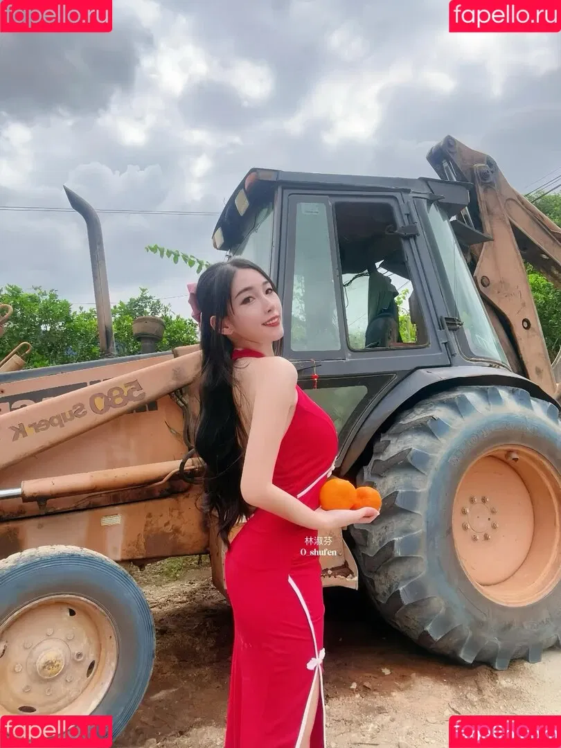 0_shufen / Shufen Onlyfans Photo Gallery 