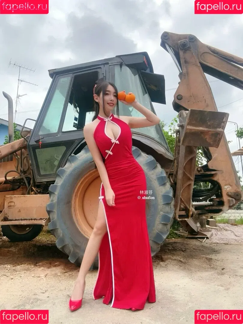 0_shufen / Shufen Onlyfans Photo Gallery 