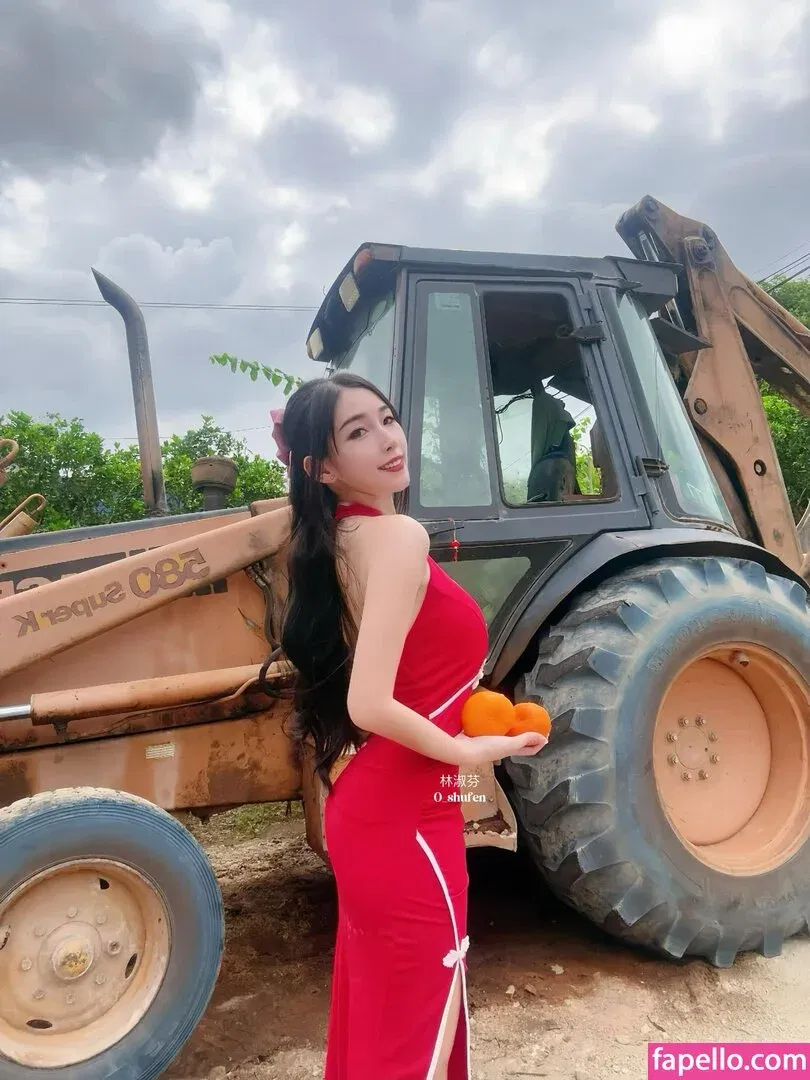 0_shufen / Shufen Onlyfans Photo Gallery 