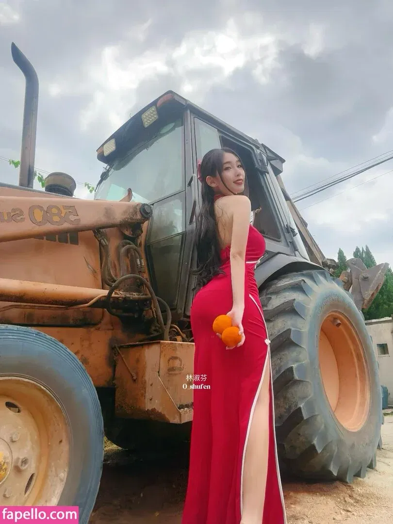 0_shufen / Shufen Onlyfans Photo Gallery 