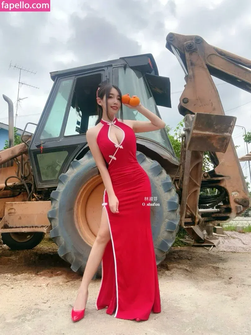 0_shufen / Shufen Onlyfans Photo Gallery 