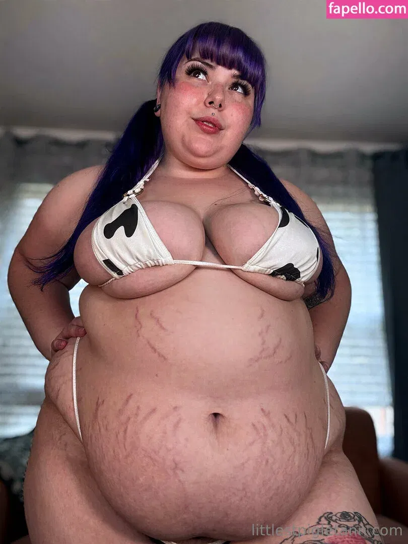 ilychubbygrilz / littlestpigletann Onlyfans Photo Gallery 