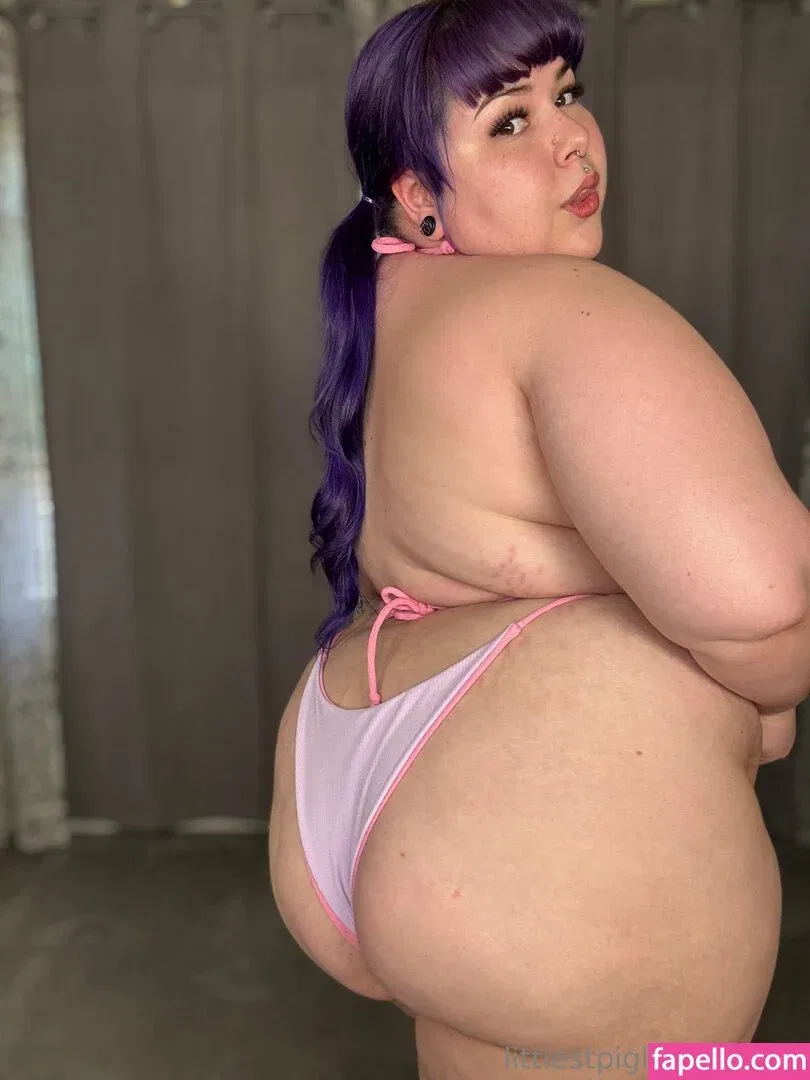 ilychubbygrilz / littlestpigletann Onlyfans Photo Gallery 